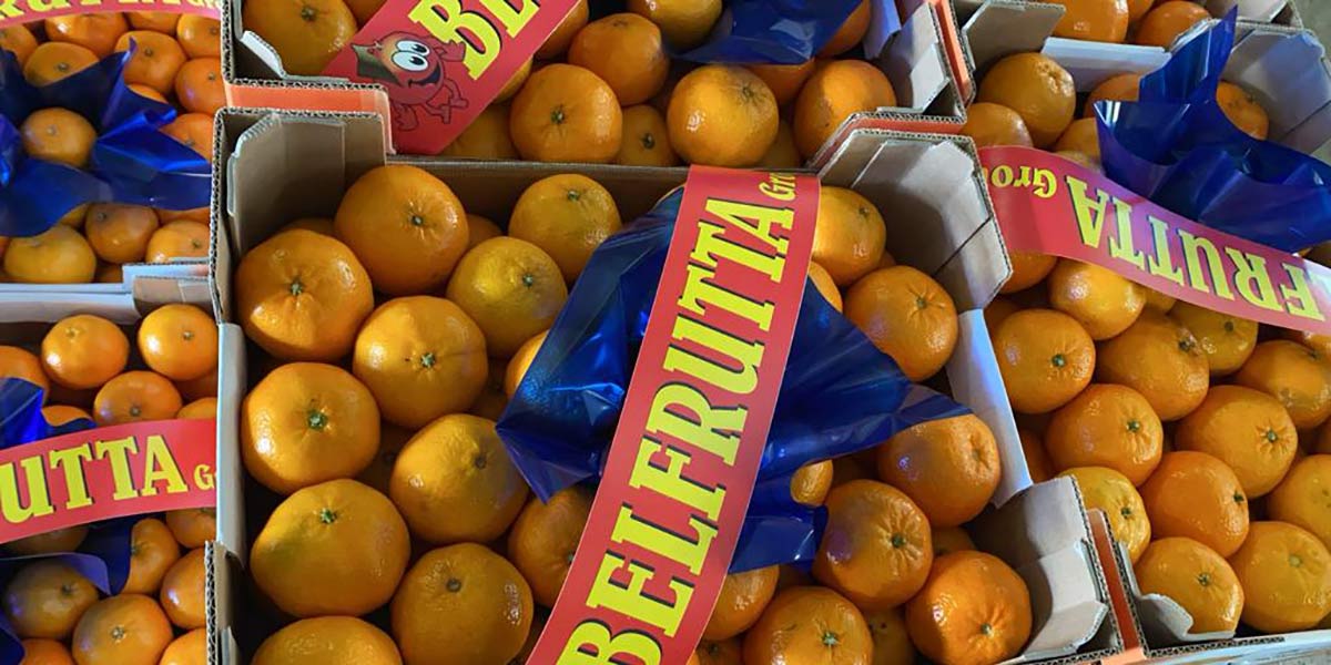 Clementine, il caldo inficia la qualità e il mercato è ancora frenato